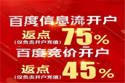 SEM竞价广告投放的五大成功案例分享